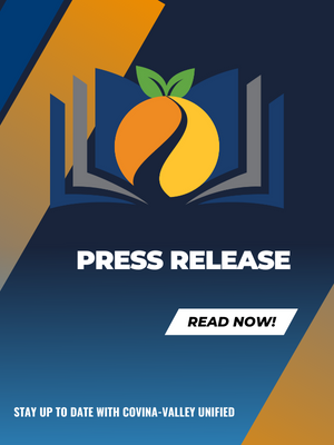  Press Release